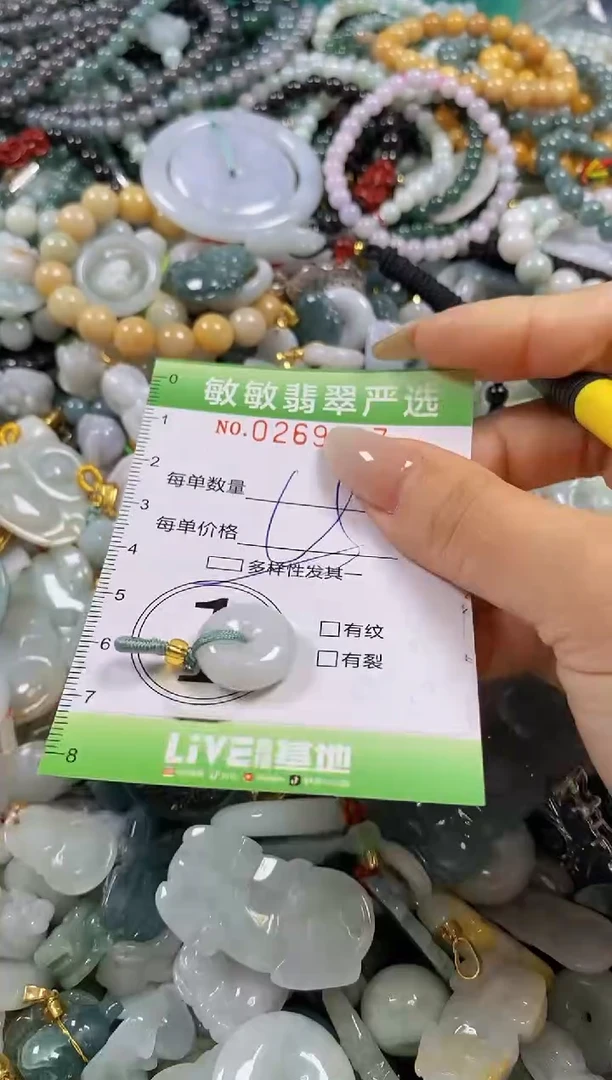 翡翠未镶嵌颈饰闪购0269317多样性发其一