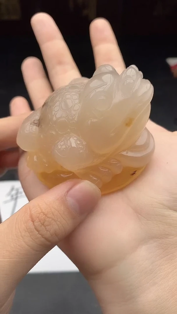 【闪购商品】玛瑙/玉髓颈饰未镶嵌1