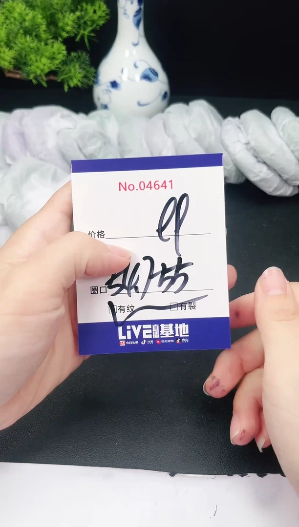 未镶嵌手镯翡翠4641