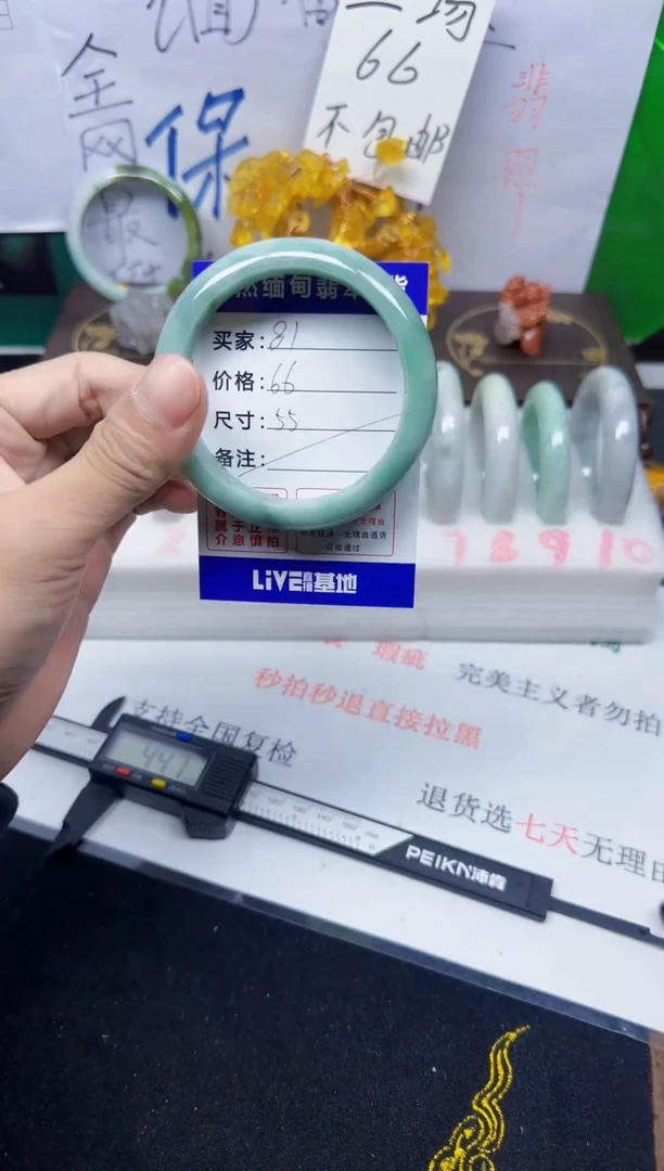 未镶嵌手镯翡翠81