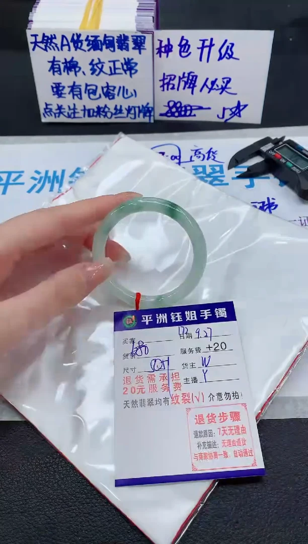 未镶嵌手镯翡翠11111