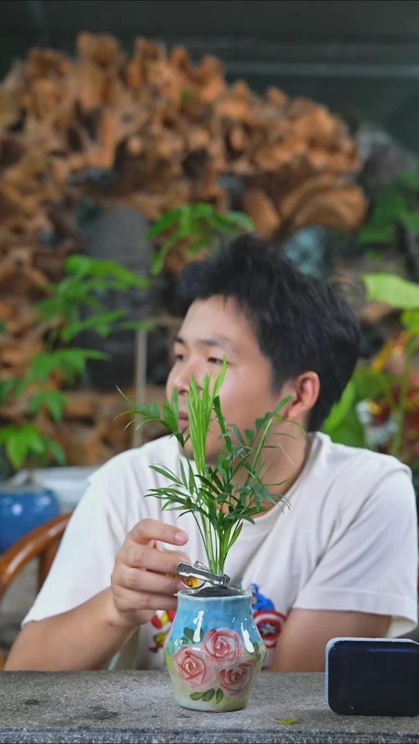 完全开放老*椰子519+