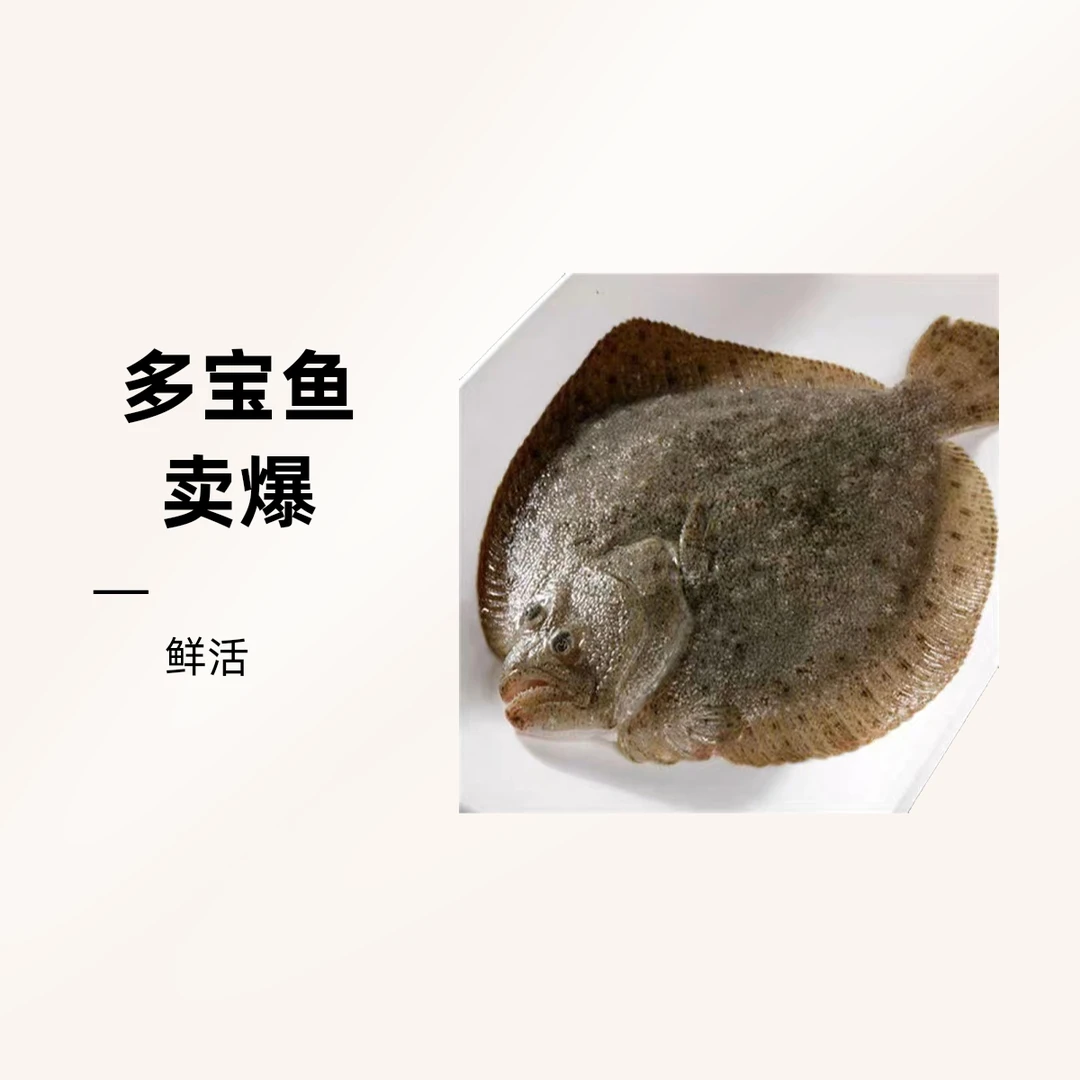 （活鱼先杀，冰鲜发货）鲜活多宝鱼1.3斤左右