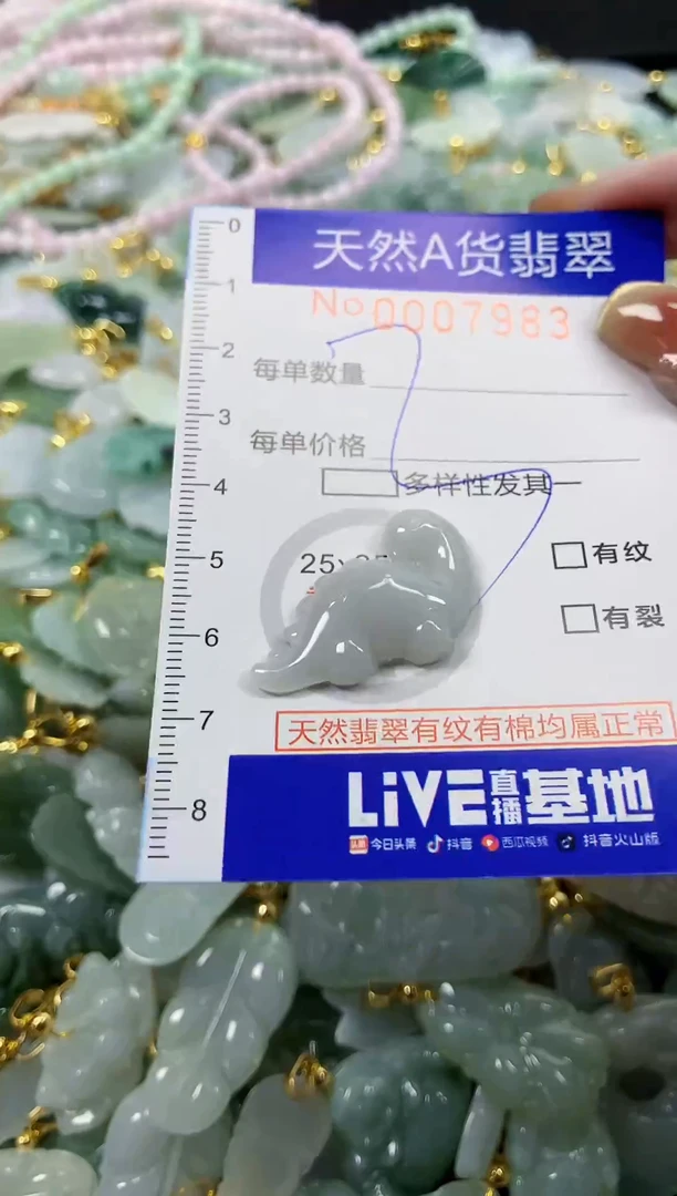 颈饰未镶嵌翡翠天然A货翡翠