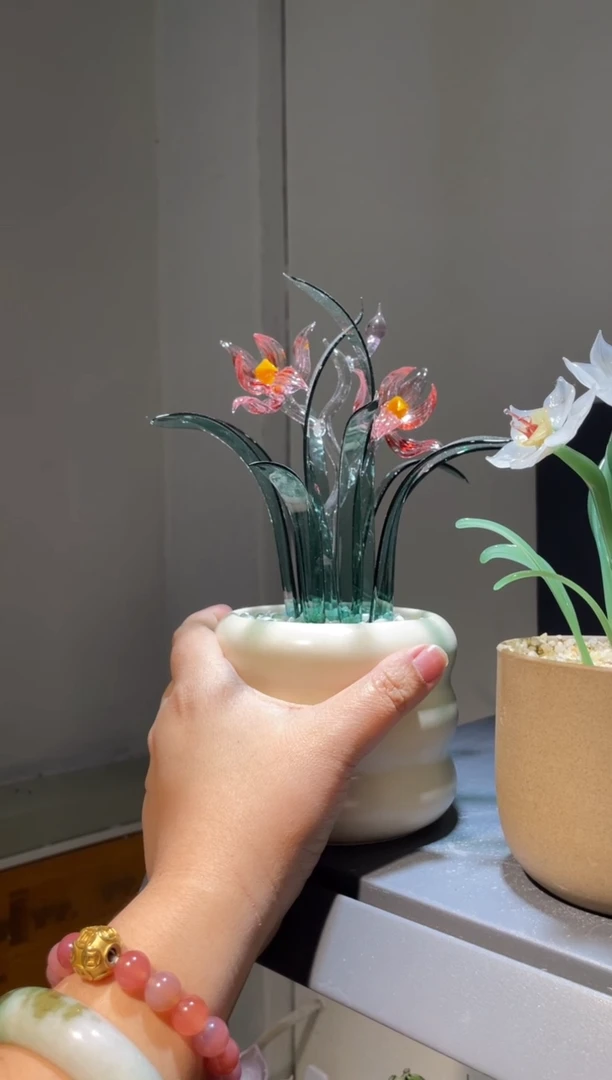 琉璃31兰花