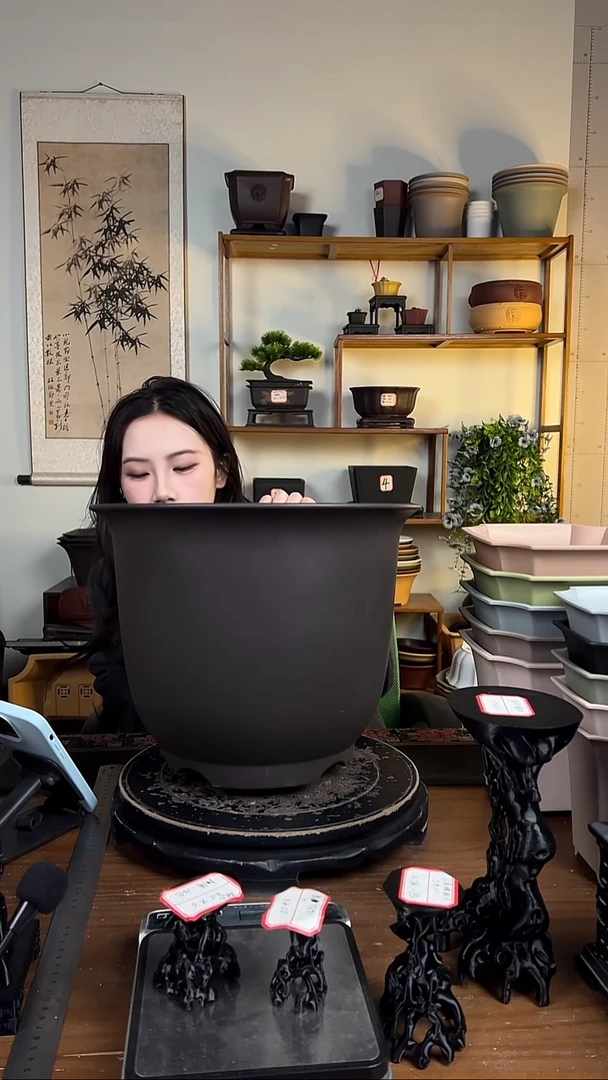 35*27金钟紫檀色2只装