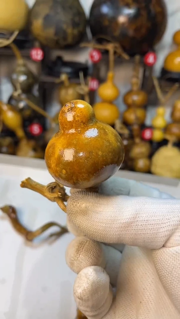 【闪购商品】葫芦葫芦葫芦葫芦