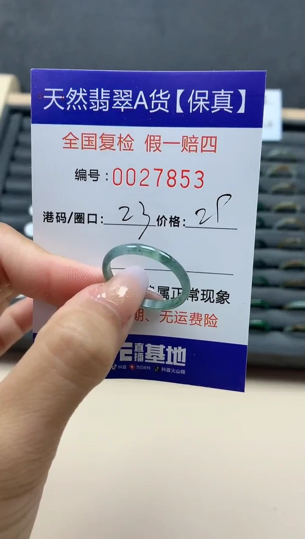 【闪购商品】翡翠戒指未镶嵌天然27853