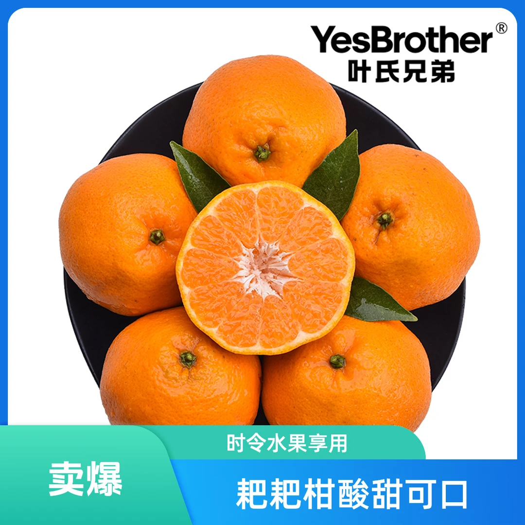 【2个】四川耙耙柑 约500g