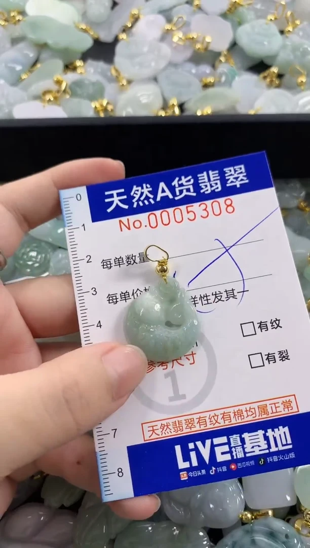 颈饰未镶嵌翡翠天然A货翡翠