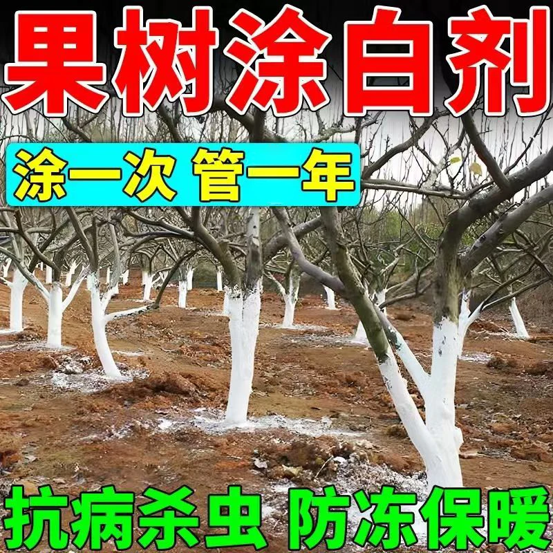 树干涂白剂树木果树涂白防虫防冻防日灼刷白大树防寒抗霜冻直涂
