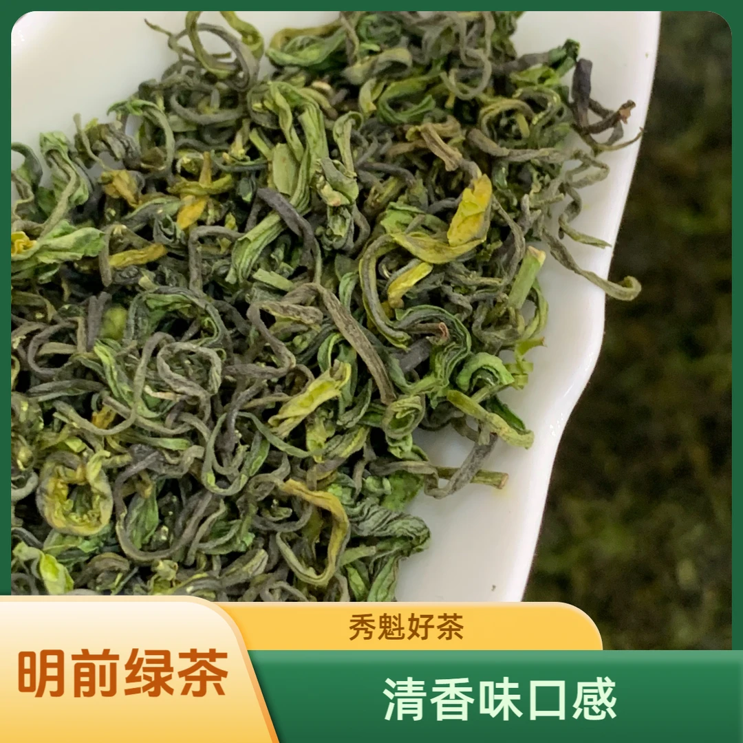 秀魁新绿茶2025新911号明前新绿茶清香味