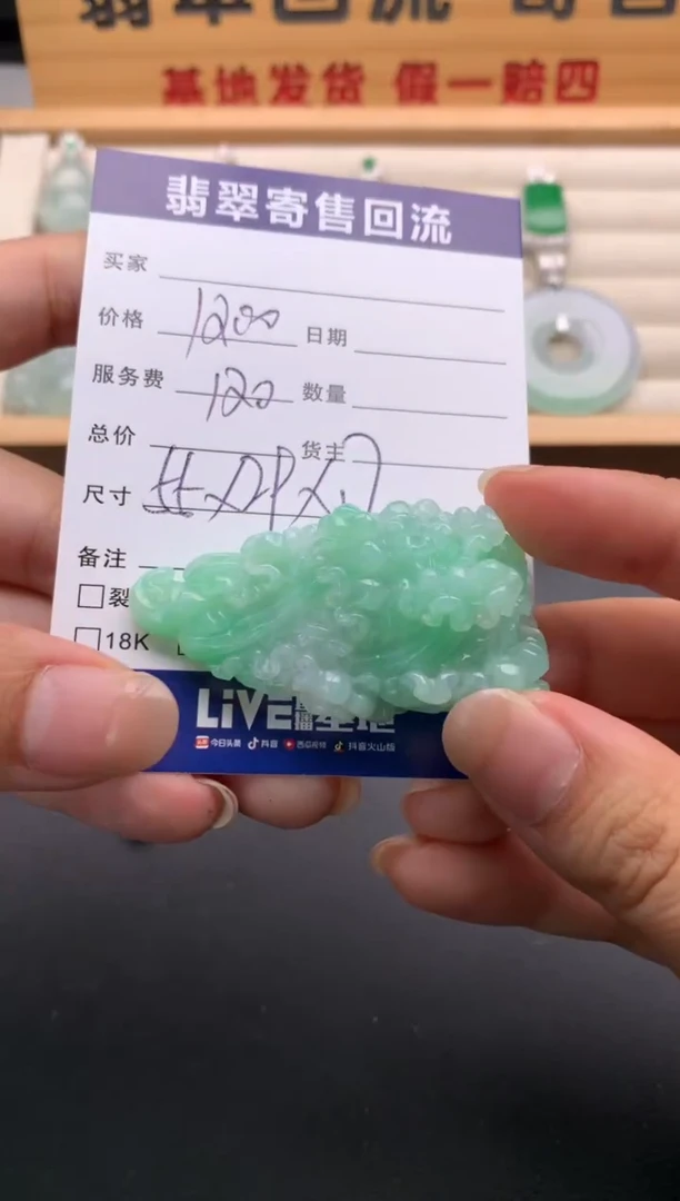 翡翠未镶嵌颈饰10136461