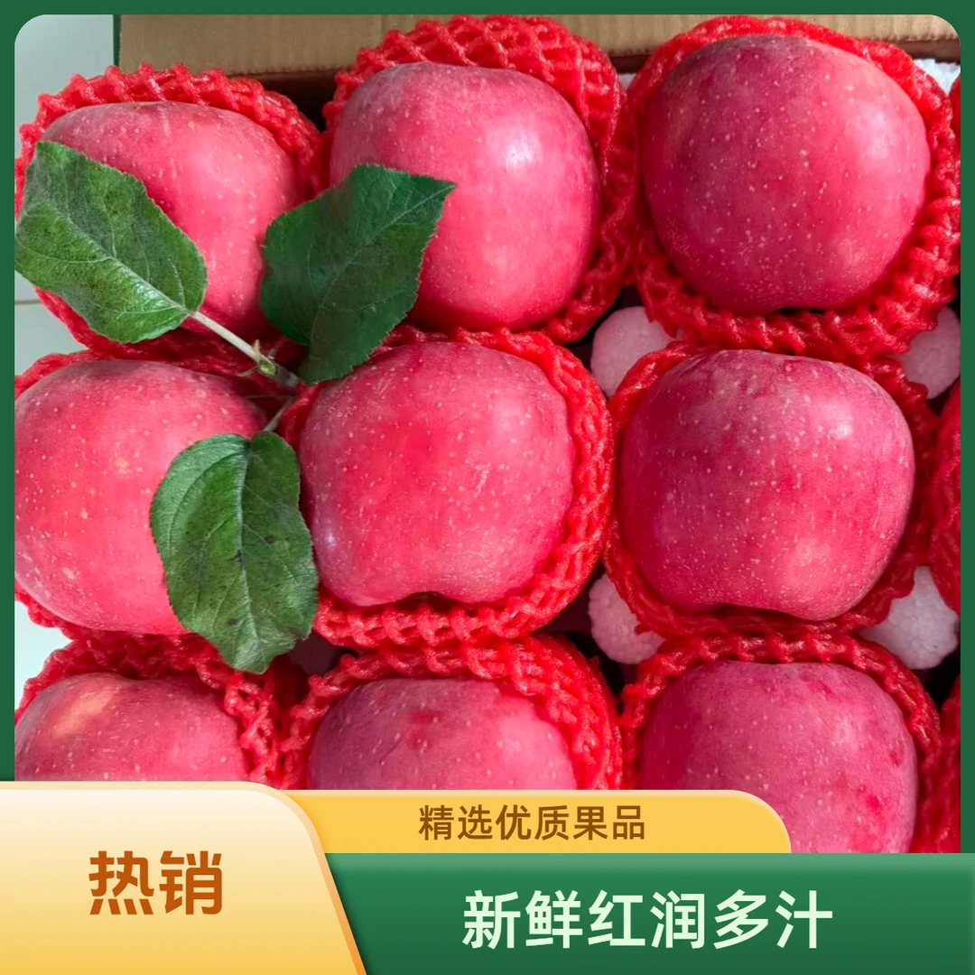 【沂蒙山红富士苹果】新鲜脆爽多汁