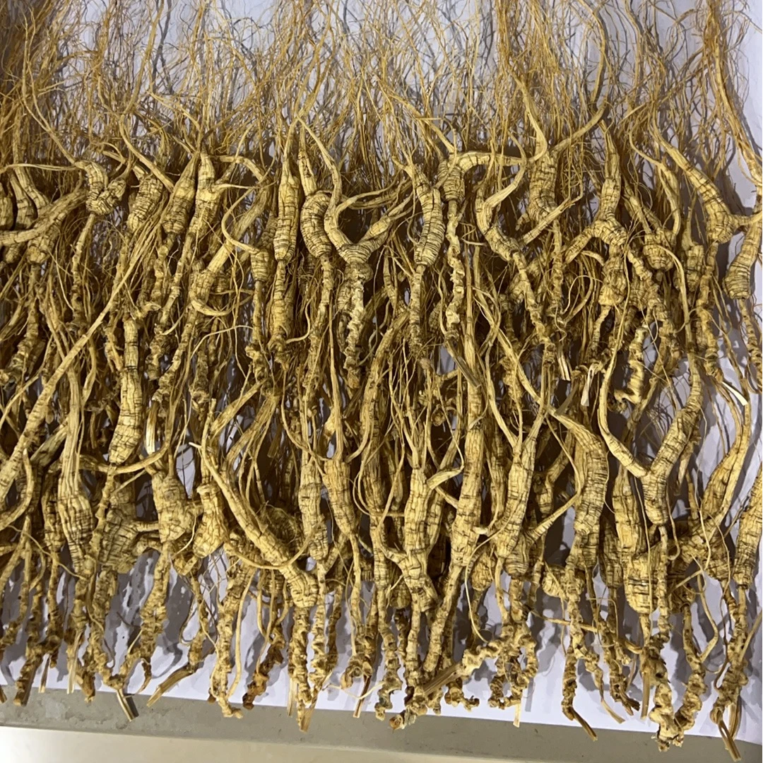 长白山林下山参可泡酒泡茶煲汤的东北特产