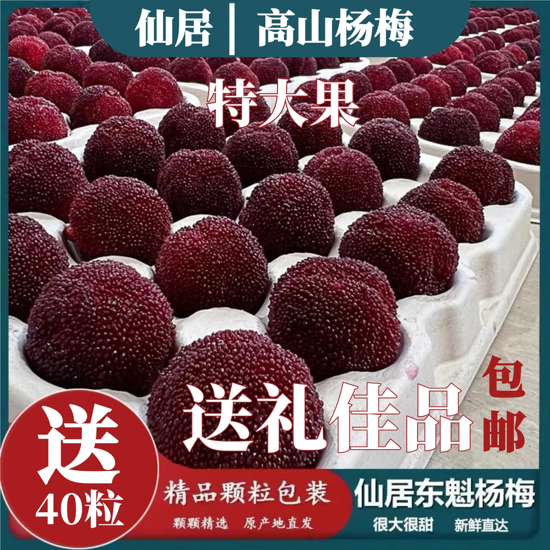 XJ【买40颗送40颗】80颗精品高山仙居东魁杨梅礼盒送礼单果20-25克当天采摘当天发货包邮到家坏果包赔浙江省