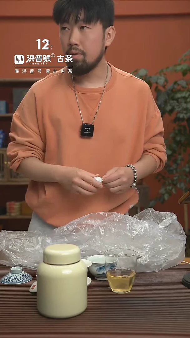 【闪购商品】24年头春执着倚邦猫耳朵生茶龙珠22颗