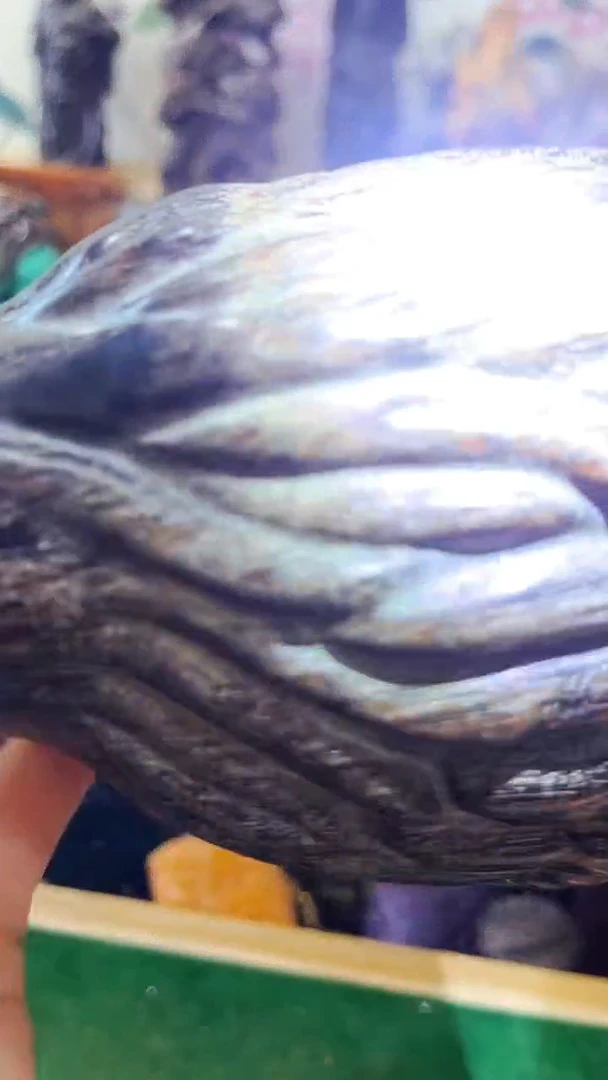 野角尖摆件老板娘主播推荐推荐