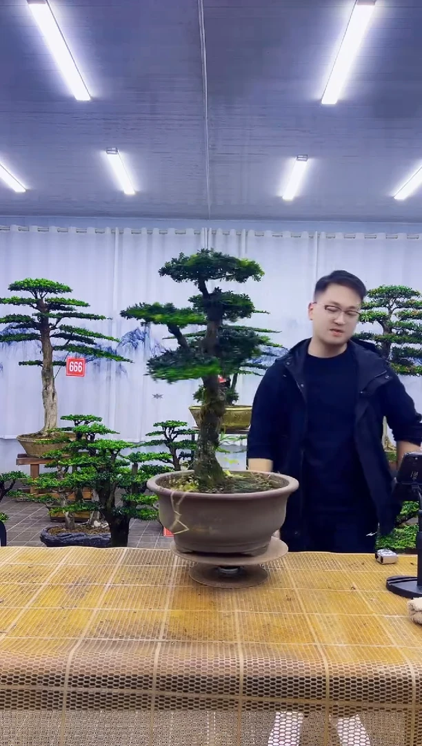 无花朵本****己00000000000000000