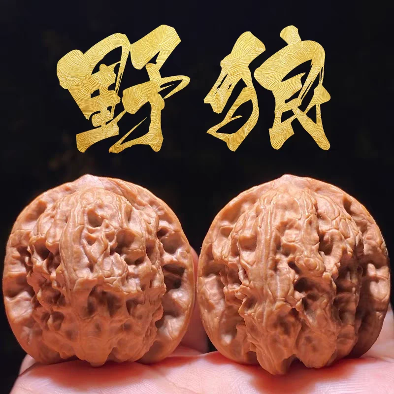 精品野狼小众狼牙山老树狮子头白茬无药小手捻骨质硬小姐姐推荐