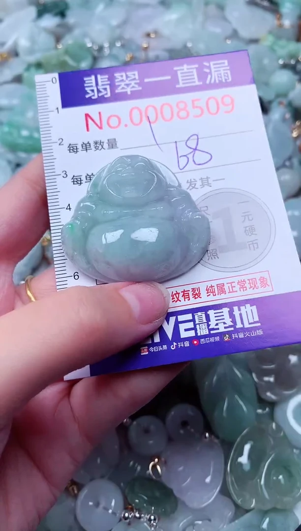 吊坠(不含链)未镶嵌翡翠8509