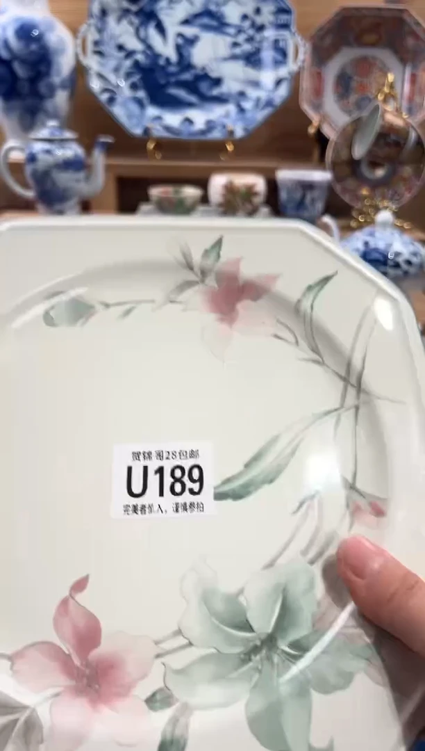 瓷片B****y     U189