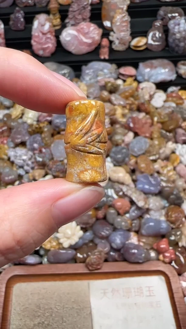 颈饰未镶嵌硅化珊瑚（珊瑚玉）840