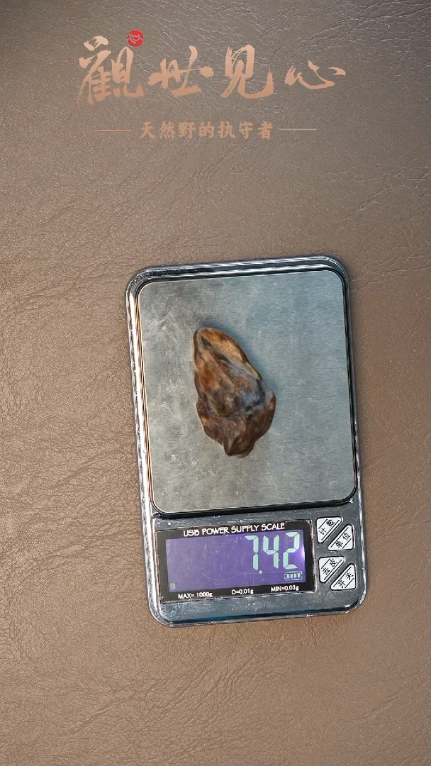 沉香沉香碎屑东马留疤料  7.42g  沉水