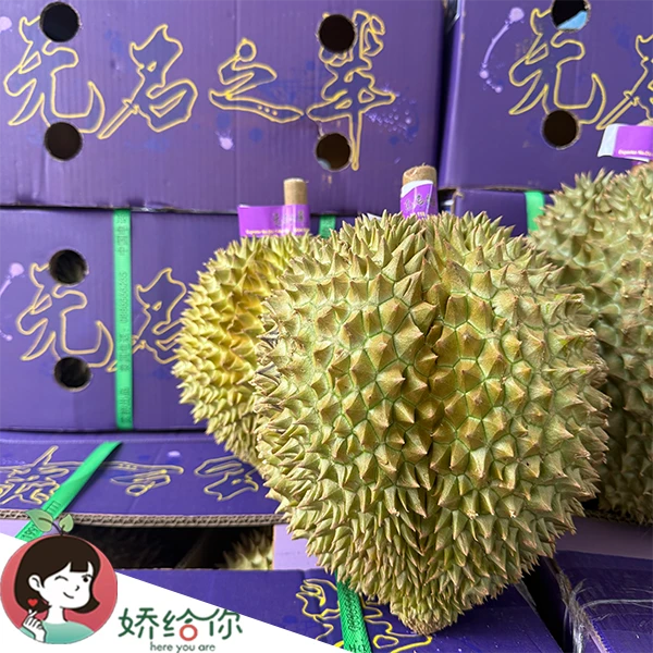 【顺丰包邮】泰国 无名之辈 金枕榴莲 鲜果小核品种1粒装