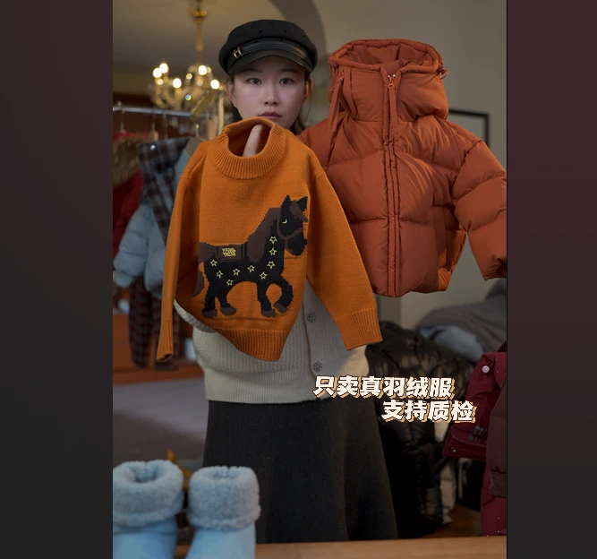 2025年春秋新款儿童女童男童桔色小马卡通立领百搭洋气针织毛衣