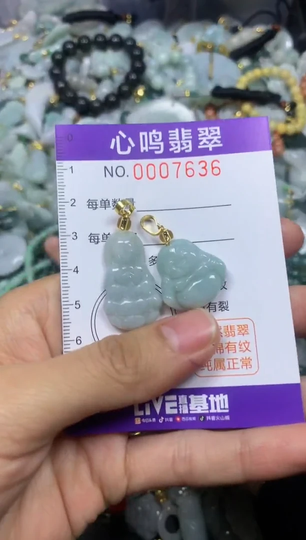 【闪购商品】翡翠颈饰未镶嵌闪购007636