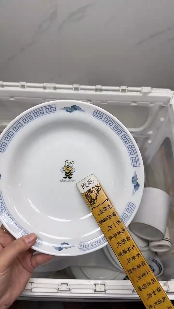 【闪购商品】4950回流瓷器默认微瑕，18.8包邮