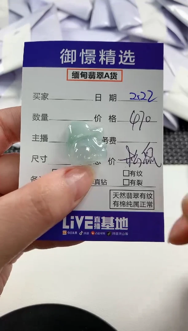 【闪购商品】翡翠颈饰未镶嵌3