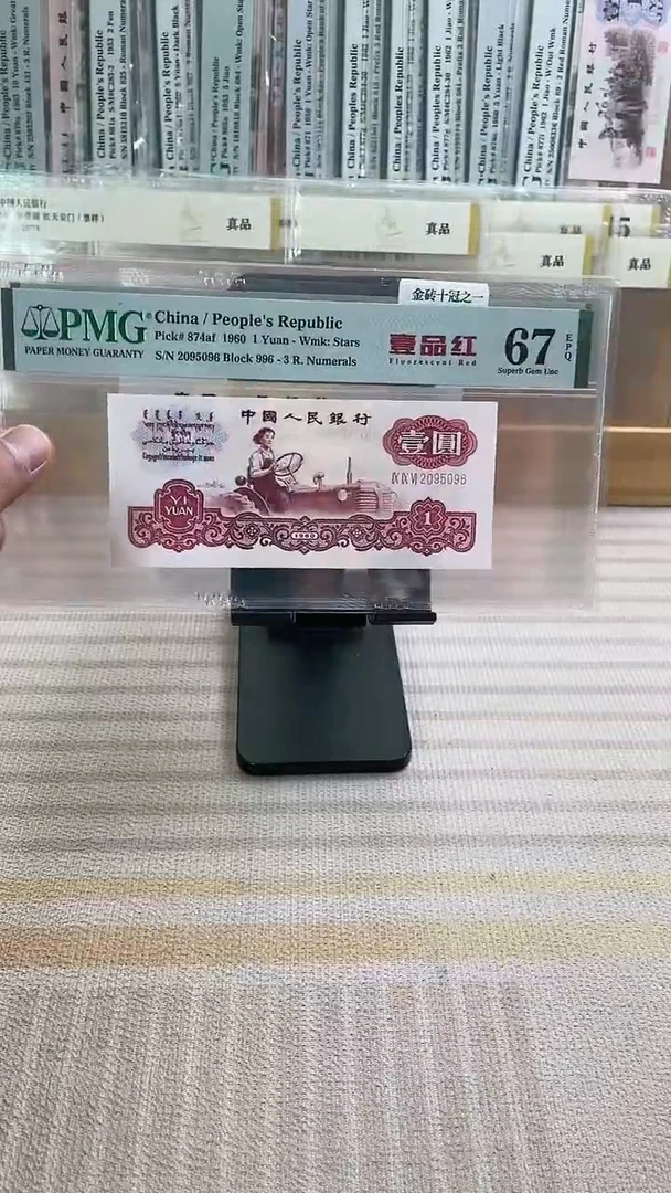 一品红67分无347！！！！！！