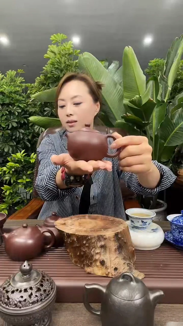 K5           西施壶