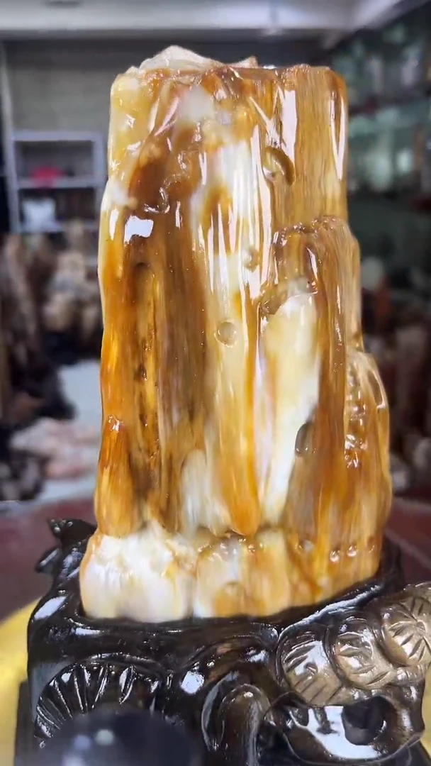 硅化玉珠宝奇石未镶嵌缅甸天然树化玉摆件