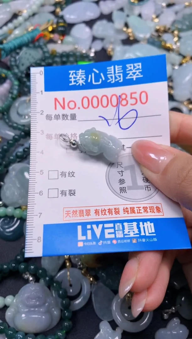 颈饰未镶嵌翡翠850