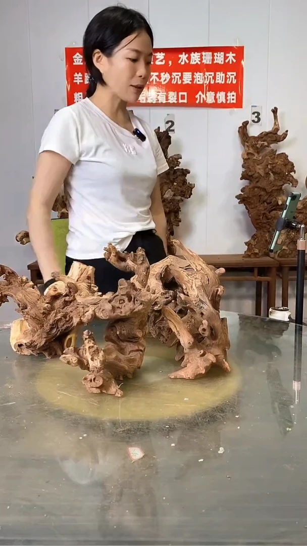 香榧木金丝红木  羊蹄甲