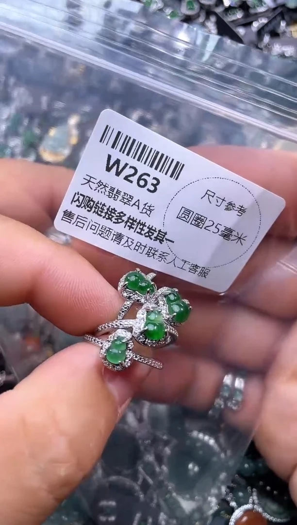 【闪购商品】翡翠颈饰未镶嵌W263戒指 多样性发其一