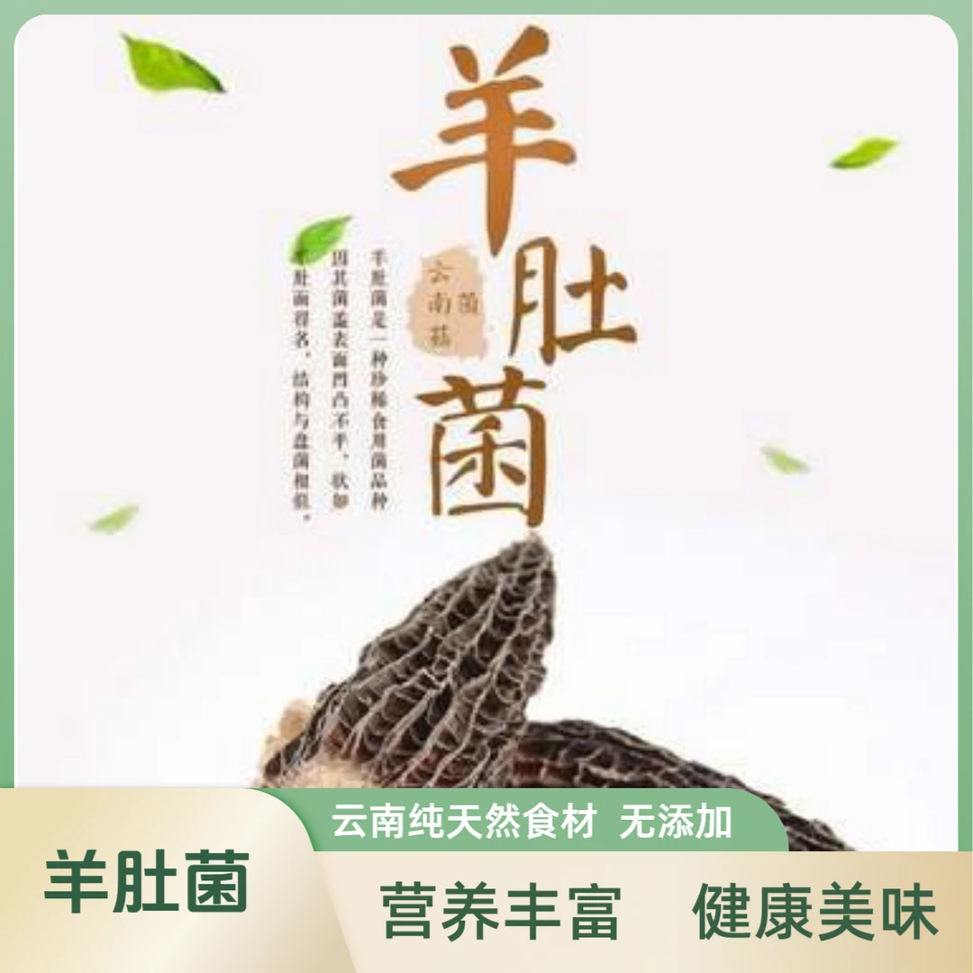 羊肚菌干货农家特产羊肚菌煲汤健康美味