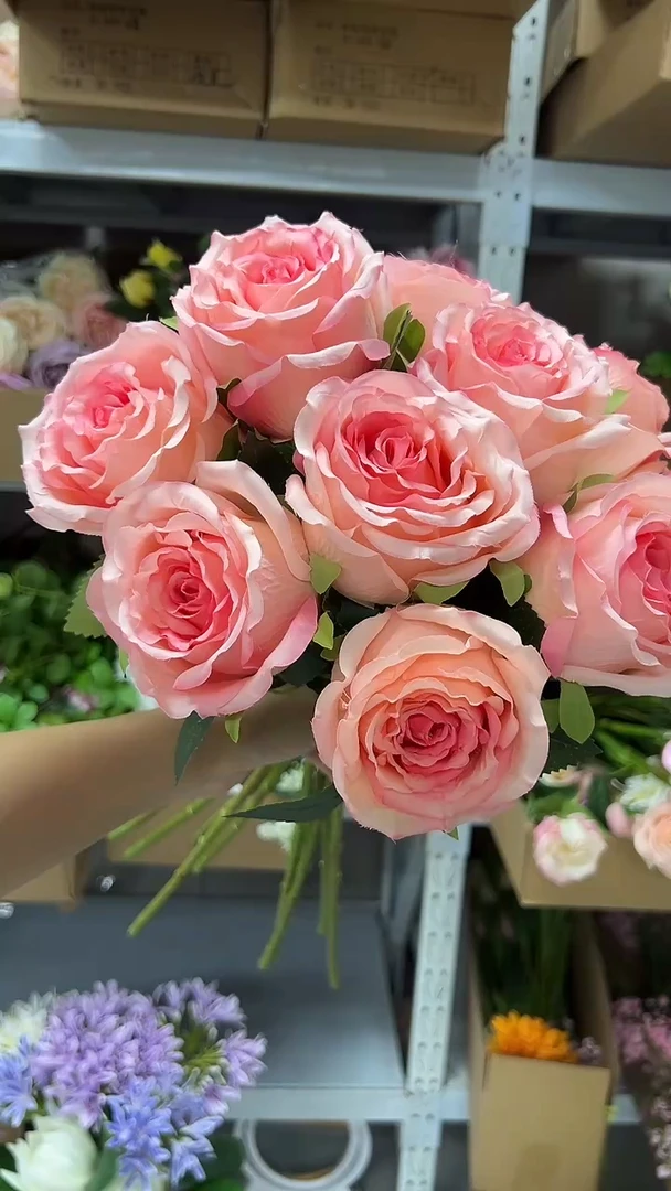 10枝粉色洛神花花