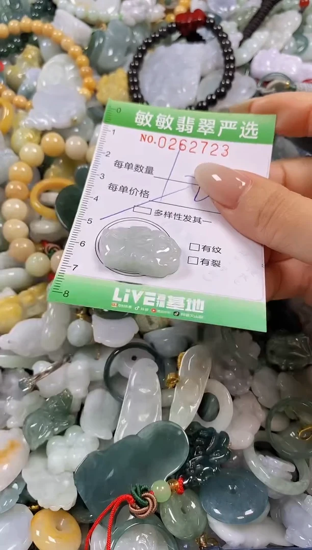 翡翠未镶嵌颈饰闪购0262723多样性发其一