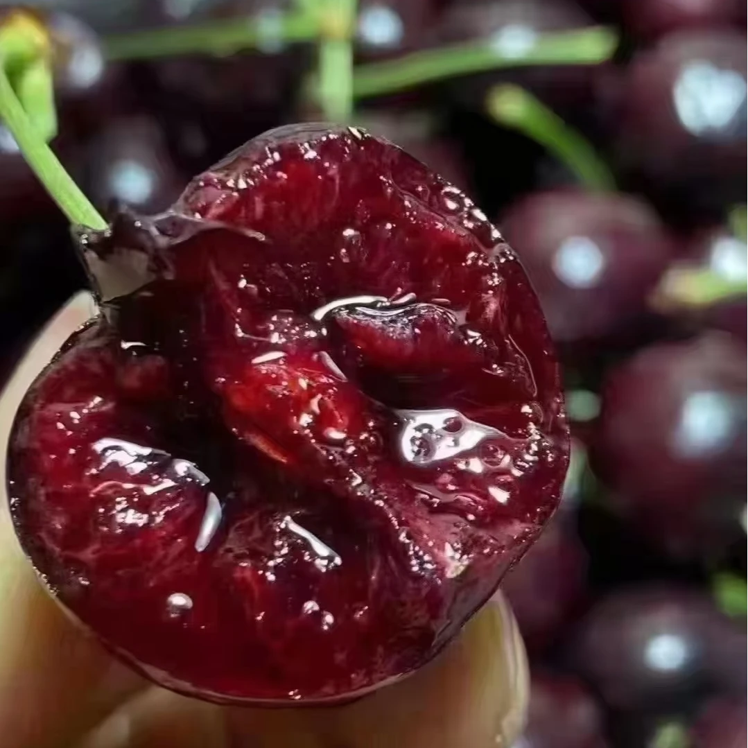 智利进口车厘子应季水果同城鲜果水果J/4J现货现发斤海运内附果径卡桑提娜樱桃智利共和国