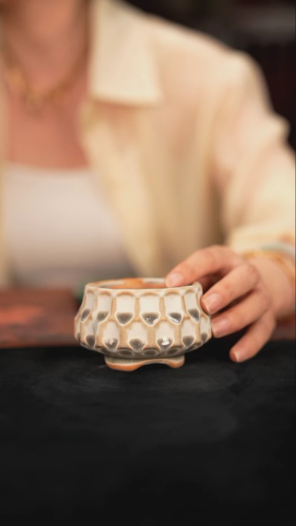 花盆乌卅6-5-002微瑕口径6