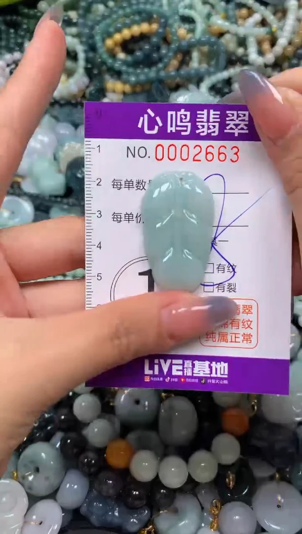 颈饰未镶嵌翡翠闪购002663