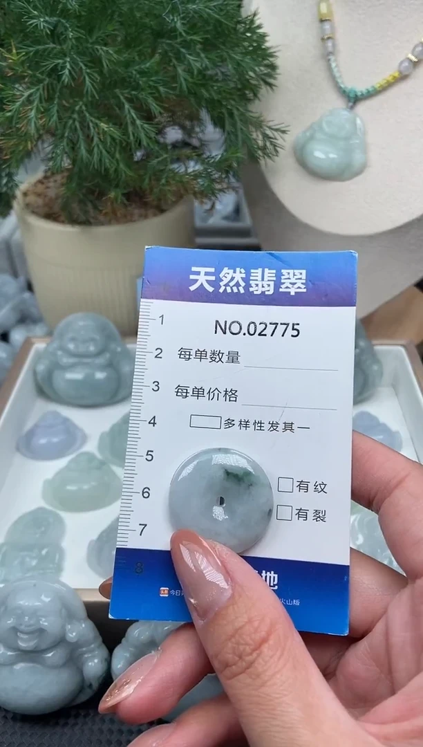 颈饰未镶嵌翡翠纯天然A货翡翠2775