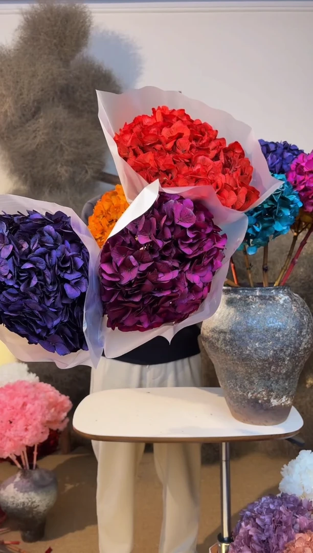 153  山前小麦 · 永生大叶绣球3枝 玫红 紫 红