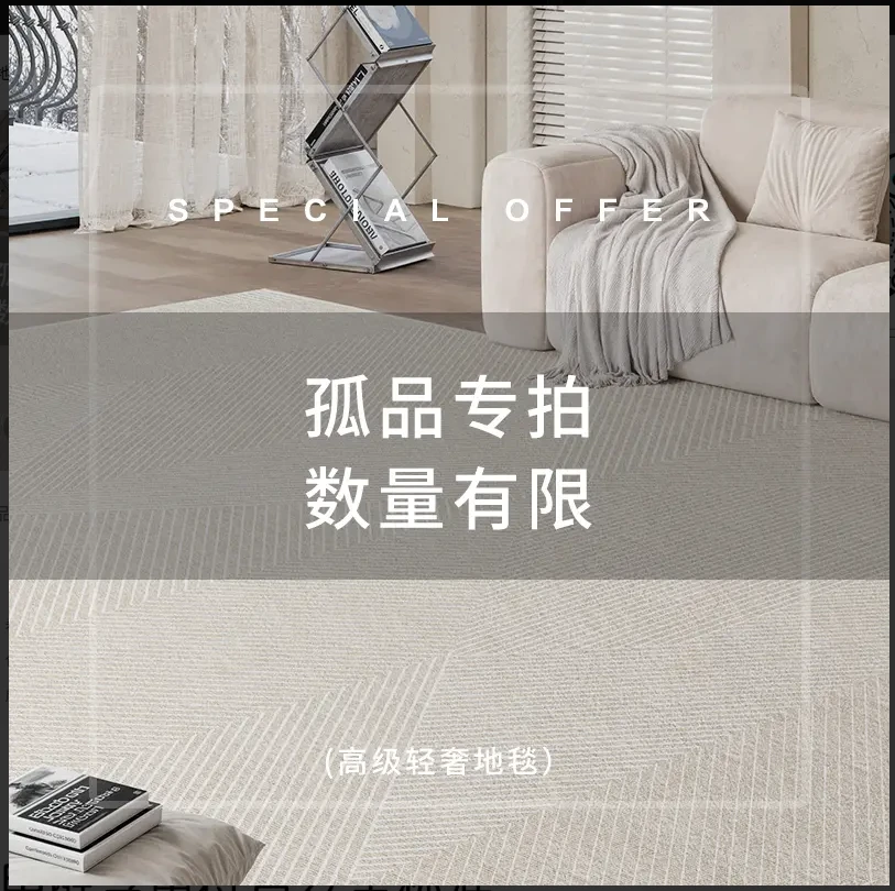 A201-A300瑕疵客厅卧室床边毯下长条地毯房间飘窗阳台大面积