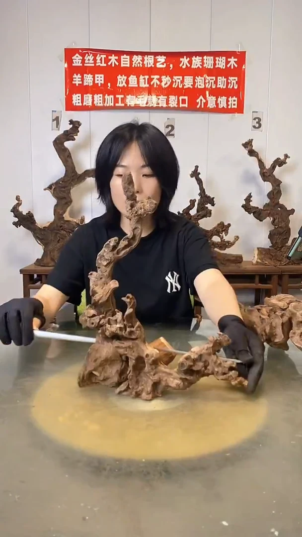 香榧木风**起金丝红木   羊蹄甲