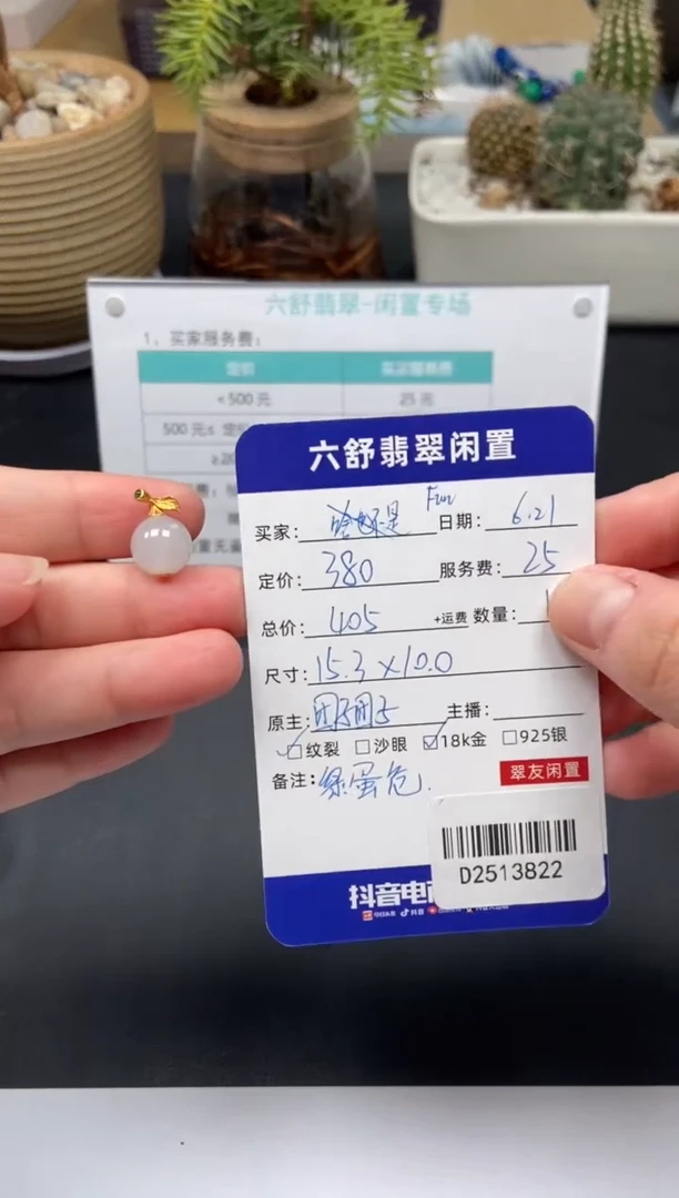 翡翠18K金镶嵌颈饰F*nD2513822